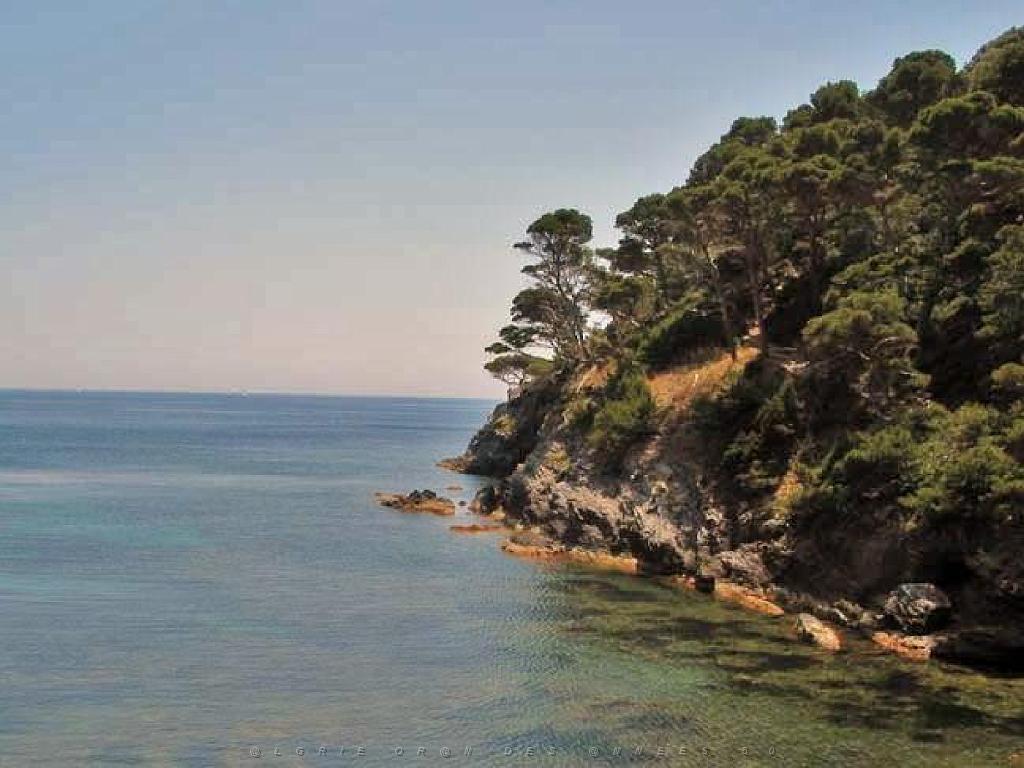 183 D20 PRESQU ILE DE GIENS 3_000027.jpg